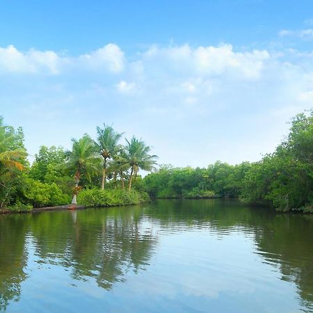 Global Lake Villa Hikkaduwa Zewnętrze zdjęcie