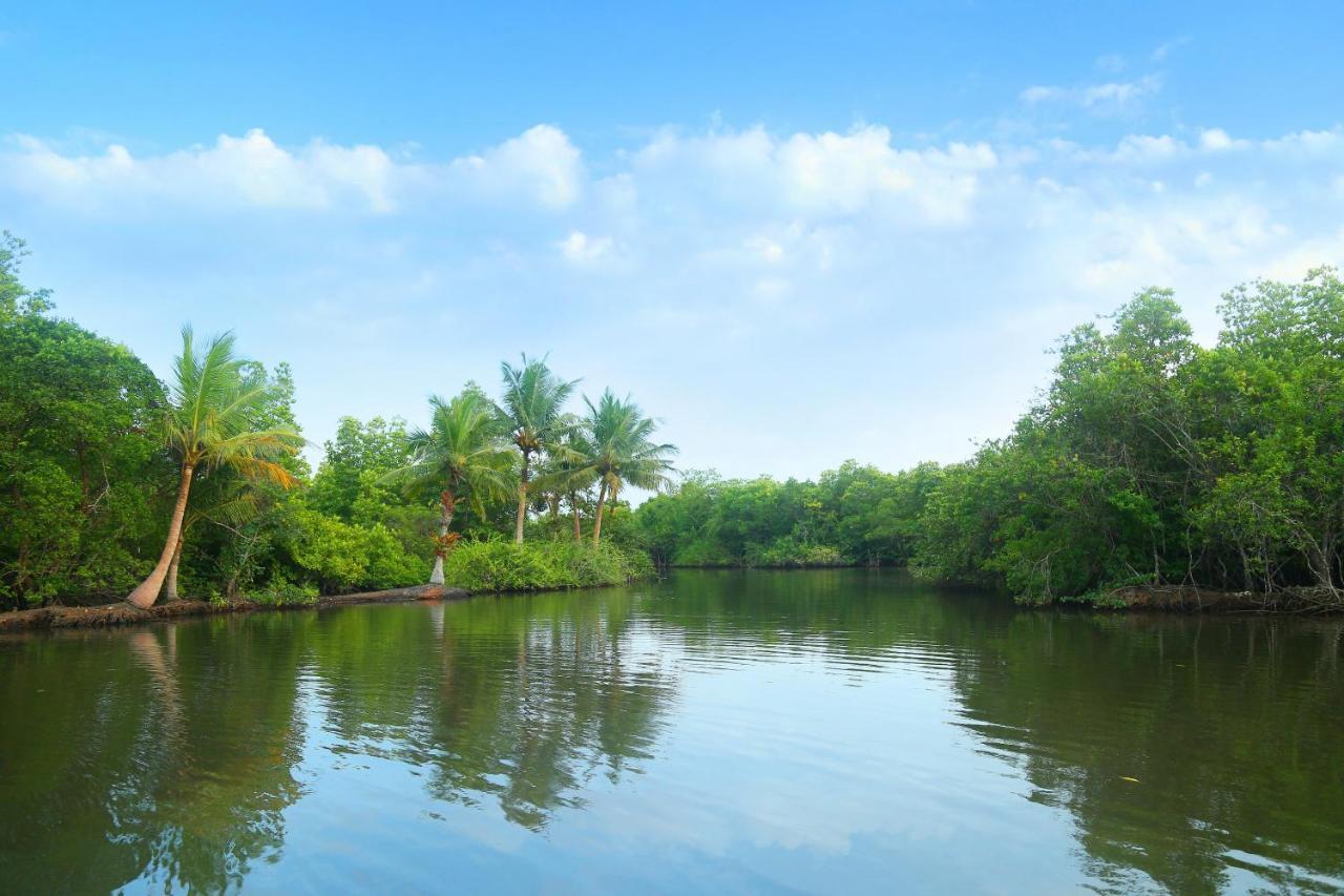 Global Lake Villa Hikkaduwa Zewnętrze zdjęcie