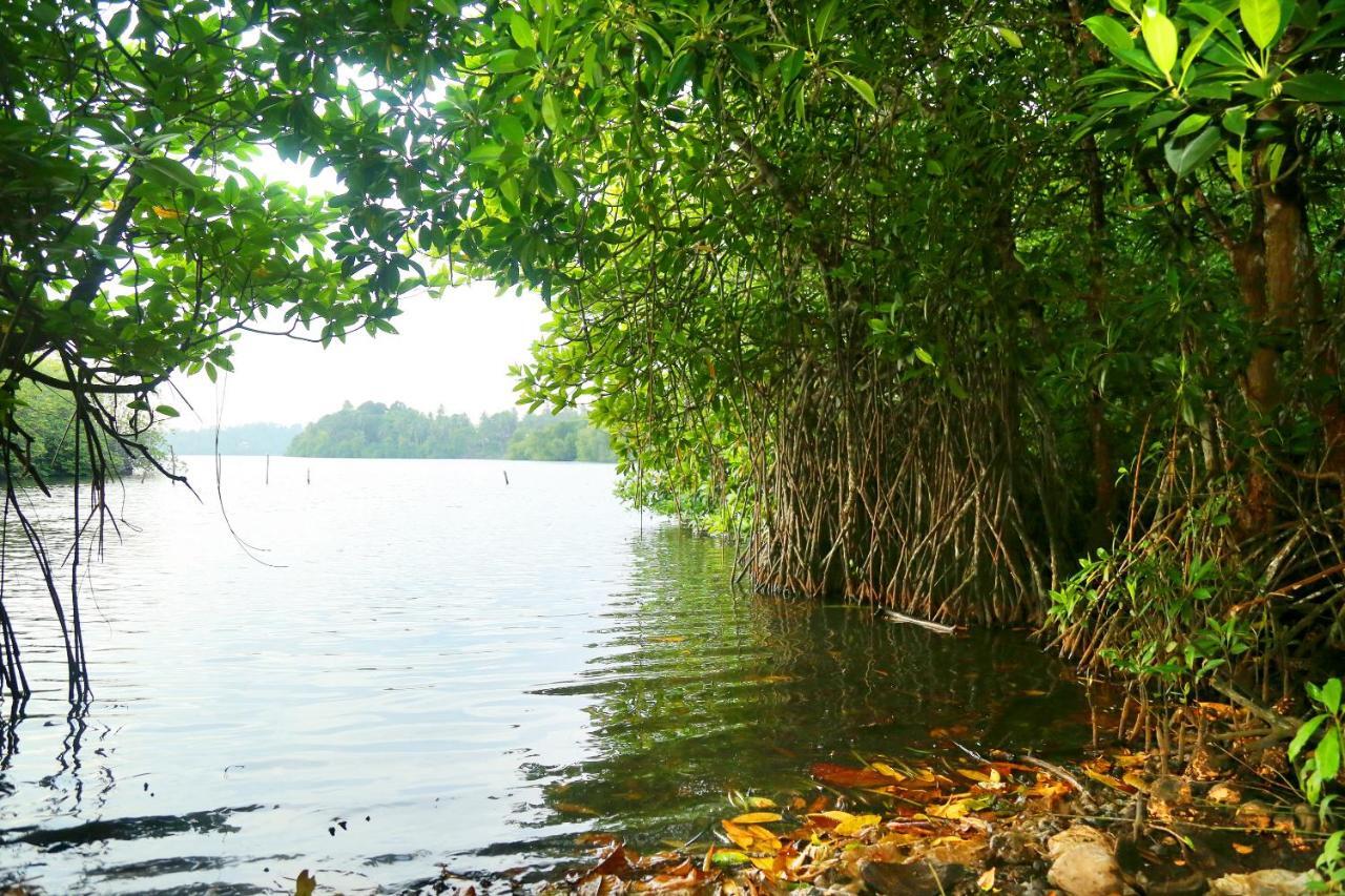 Global Lake Villa Hikkaduwa Zewnętrze zdjęcie