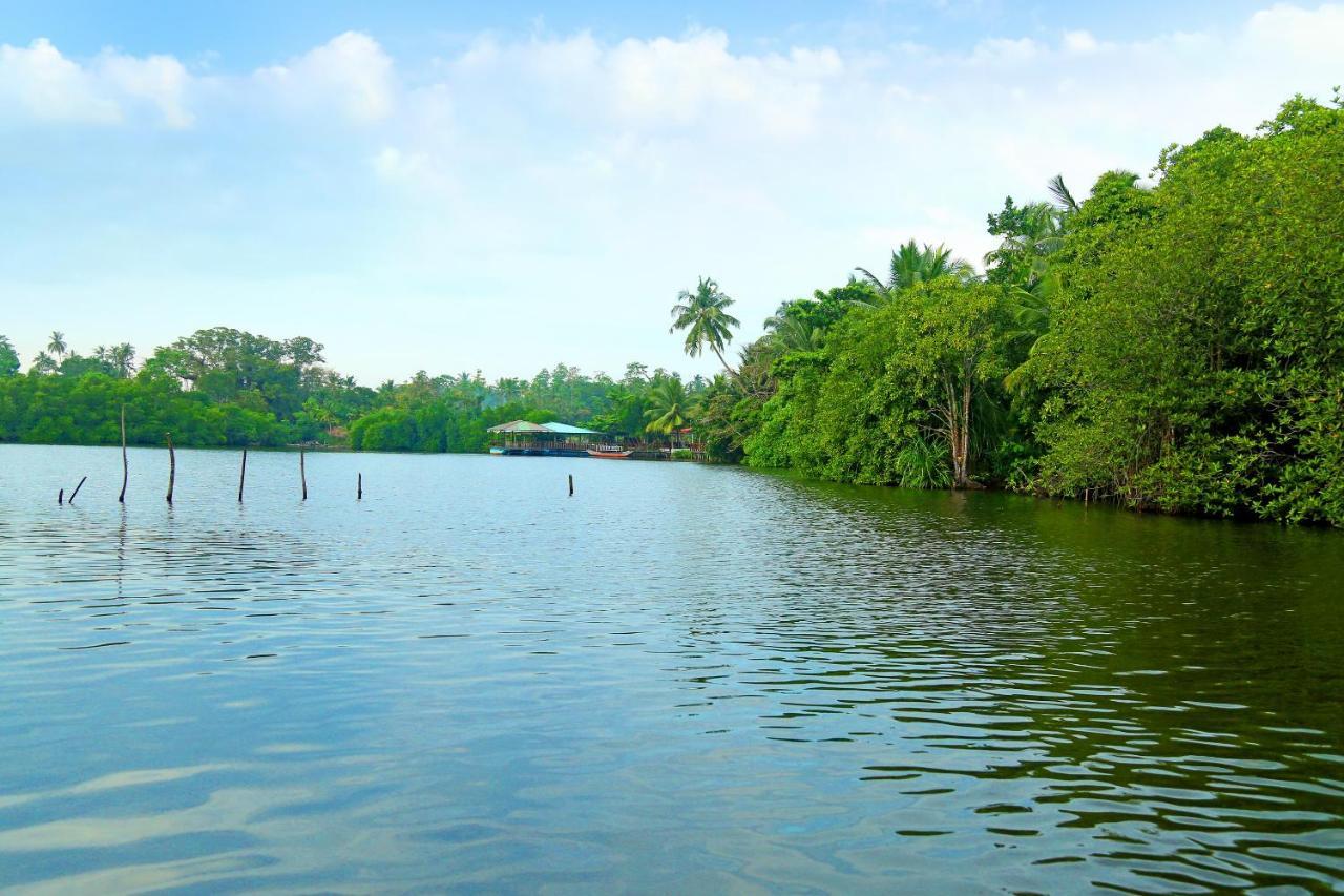 Global Lake Villa Hikkaduwa Zewnętrze zdjęcie